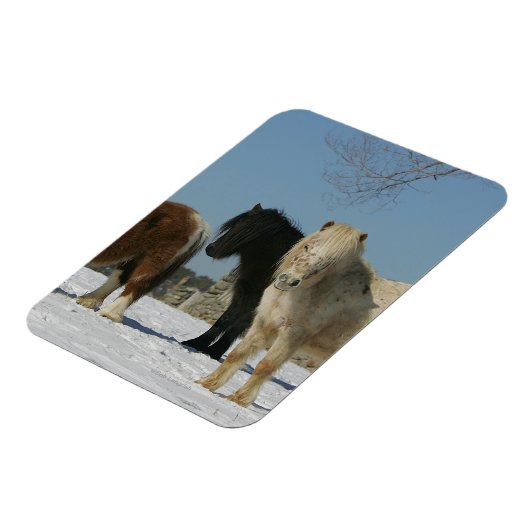 Gruppe der Schneepferde Magnet (Linke Seite)