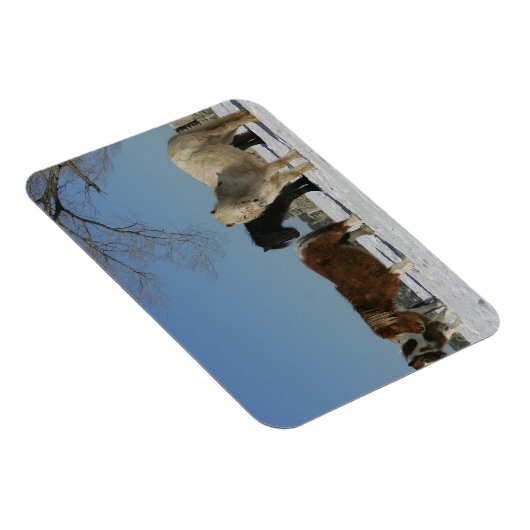 Gruppe der Schneepferde Magnet (Rechte Seite)