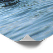 Gruppe der Sea Otters Poster (Ecke)