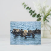 Gruppe der Sea Otters Postkarte (Stehend Vorderseite)