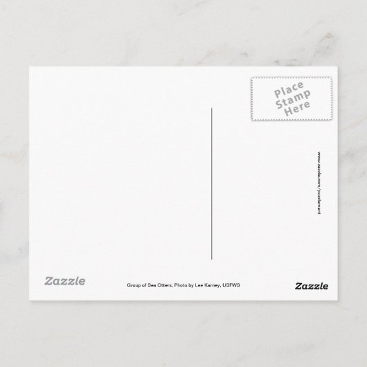 Gruppe der Sea Otters Postkarte (Rückseite)