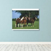 Gruppe der Stehenden Paint Horses Leinwanddruck (Insitu (Holzboden))