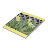 Gruppe der Tierärzte Fliese (Seite)