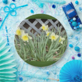 Gruppe der Tierärzte Pappteller (Party)