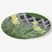 Gruppe der Tierärzte Pappteller (Schrägansicht)