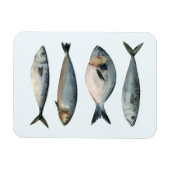 Gruppe der vier Fische Magnet (Horizontal)