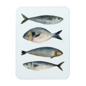 Gruppe der vier Fische Magnet (Vertikal)
