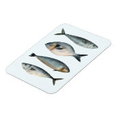 Gruppe der vier Fische Magnet (Linke Seite)
