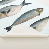 Gruppe der vier Fische Sherpadecke (3/4)