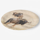 Gruppe der Weiden Pappteller (Schrägansicht)