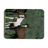 Gruppe der wild lebenden Mustang Pferde Magnet (Horizontal)