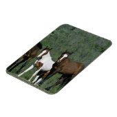 Gruppe der wild lebenden Mustang Pferde Magnet (Linke Seite)