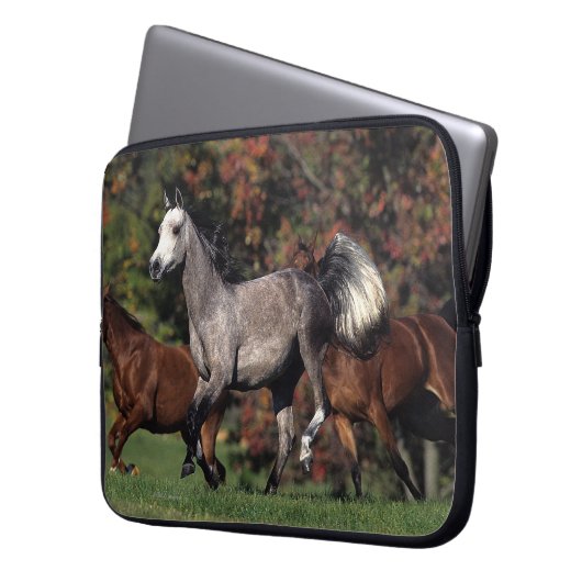 Gruppe des arabischen Pferdelaufens Laptopschutzhülle (Vorderseite Links)