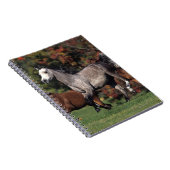 Gruppe des arabischen Pferdelaufens Notizblock (Rechte Seite)