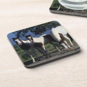 Gruppe Farben-Pferde Getränkeuntersetzer (Linke Seite)