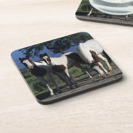 Gruppe Farben-Pferde Getränkeuntersetzer (Linke Seite)