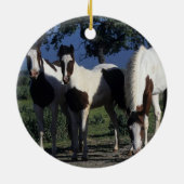 Gruppe Farben-Pferde Keramikornament (Hinten)