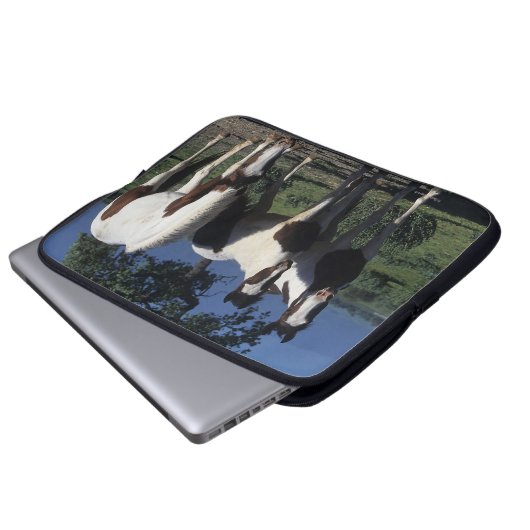 Gruppe Farben-Pferde Laptopschutzhülle (Vorne Knopf)