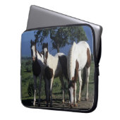 Gruppe Farben-Pferde Laptopschutzhülle (Vorderseite Links)