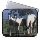 Gruppe Farben-Pferde Laptopschutzhülle (Vorderseite)