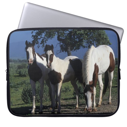 Gruppe Farben-Pferde Laptopschutzhülle (Vorderseite)