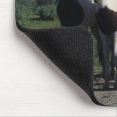 Gruppe Farben-Pferde Mousepad (Ecke)