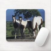 Gruppe Farben-Pferde Mousepad (Mit Mouse)