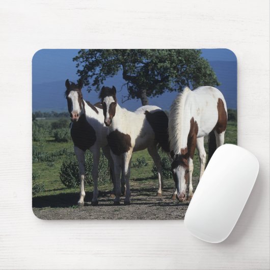 Gruppe Farben-Pferde Mousepad (Mit Mouse)