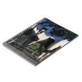 Gruppe Farben-Pferde Notizblock (Linke Seite)