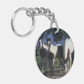 Gruppe Farben-Pferde Schlüsselanhänger (Vorderseite links)