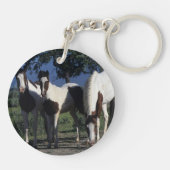 Gruppe Farben-Pferde Schlüsselanhänger (Rückseite)