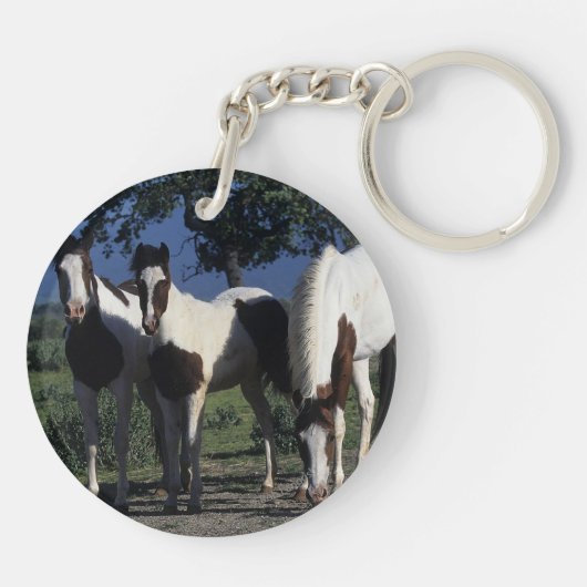 Gruppe Farben-Pferde Schlüsselanhänger (Rückseite)