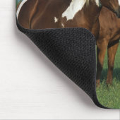 Gruppe Farben-Pferde stehend Mousepad (Ecke)