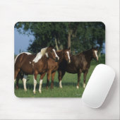 Gruppe Farben-Pferde stehend Mousepad (Mit Mouse)