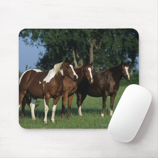 Gruppe Farben-Pferde stehend Mousepad (Mit Mouse)