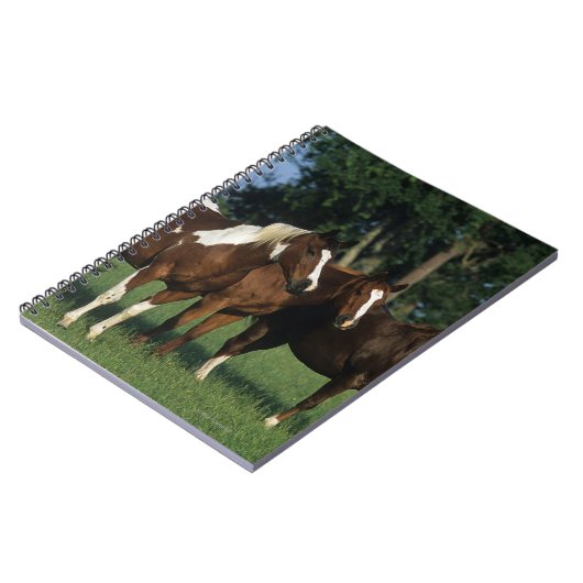 Gruppe Farben-Pferde stehend Notizblock (Linke Seite)