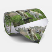 Gruppe gelbe Labrador Krawatte (Gerollt)