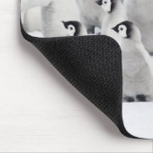 Gruppe Kaiserpinguine (Aptenodytes forsteri) Mousepad (Ecke)