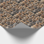 Gruppe Katzen mit Sonnenbrille Geschenkpapier (Ecke)