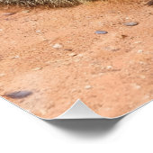 Gruppe Meerkats Poster (Ecke)