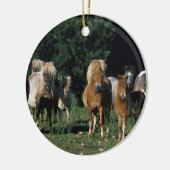 Gruppe Miniaturfohlen Keramik Ornament (Links)