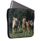 Gruppe Miniaturfohlen Laptopschutzhülle (Vorne Rechts)