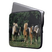 Gruppe Miniaturfohlen Laptopschutzhülle (Vorderseite Links)