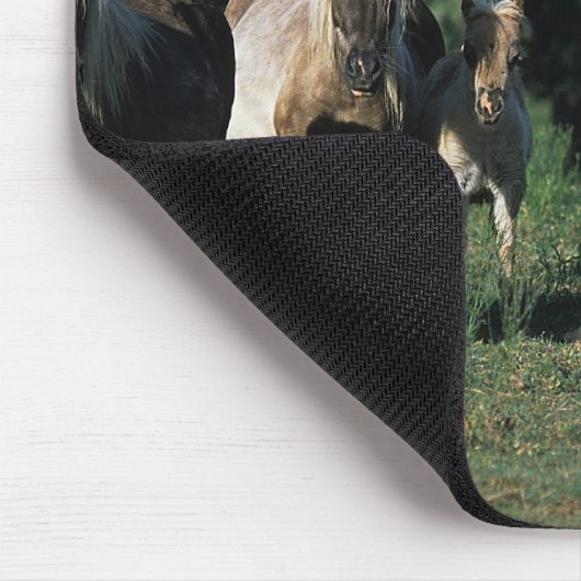 Gruppe Miniaturfohlen Mousepad (Ecke)