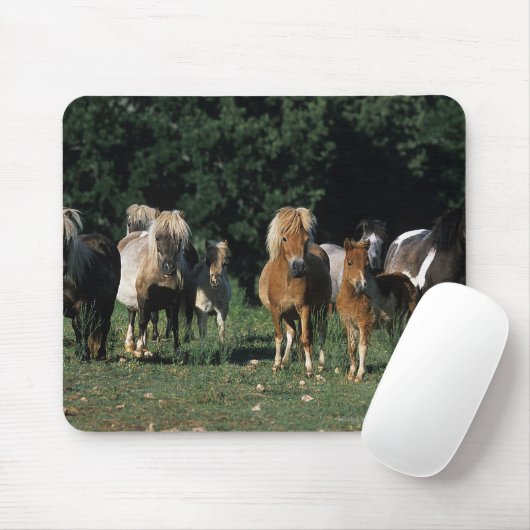 Gruppe Miniaturfohlen Mousepad (Mit Mouse)