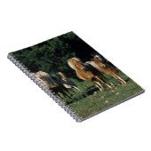 Gruppe Miniaturfohlen Notizblock (Rechte Seite)