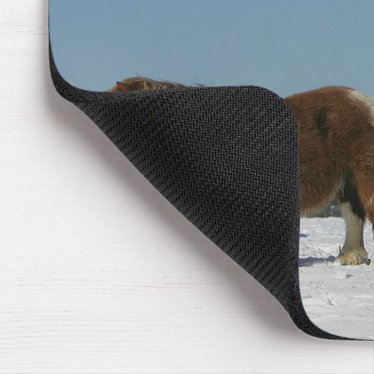 Gruppe Miniaturpferde im Schnee Mousepad (Ecke)