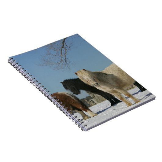 Gruppe Miniaturpferde im Schnee Notizblock (Rechte Seite)