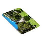 Gruppe Nēnē, Haleakalā National Park, Maui, HI Magnet (Rechte Seite)