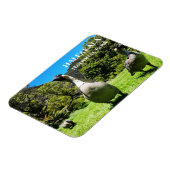 Gruppe Nēnē, Haleakalā National Park, Maui, HI Magnet (Linke Seite)